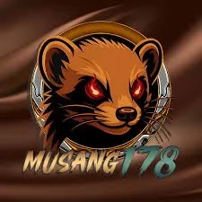 Review Aplikasi musang178